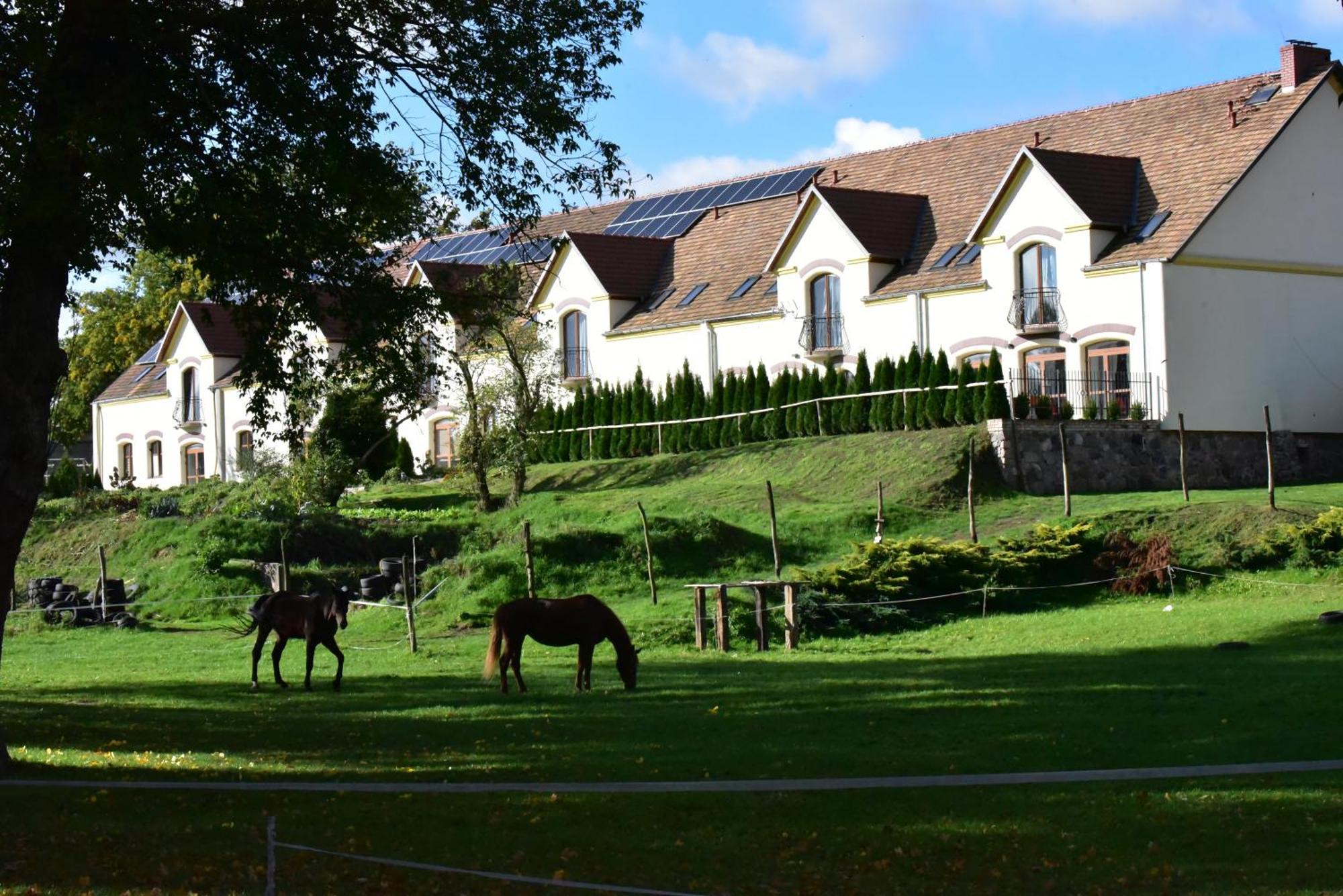 Agroturystyka Maya Hotel Miedzyrzecz Exterior photo