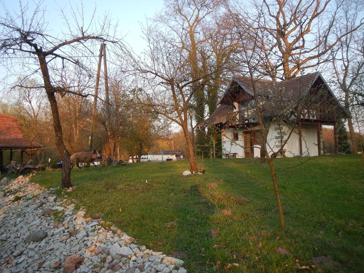 Agroturystyka Maya Hotel Miedzyrzecz Exterior photo