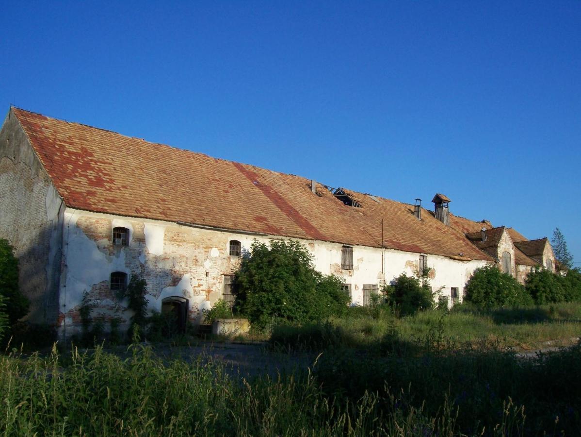 Agroturystyka Maya Hotel Miedzyrzecz Exterior photo